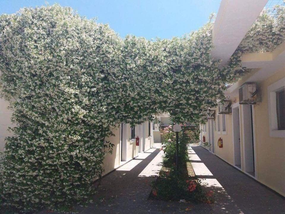 Monika Hotel Sidari Сідарі Екстер'єр фото